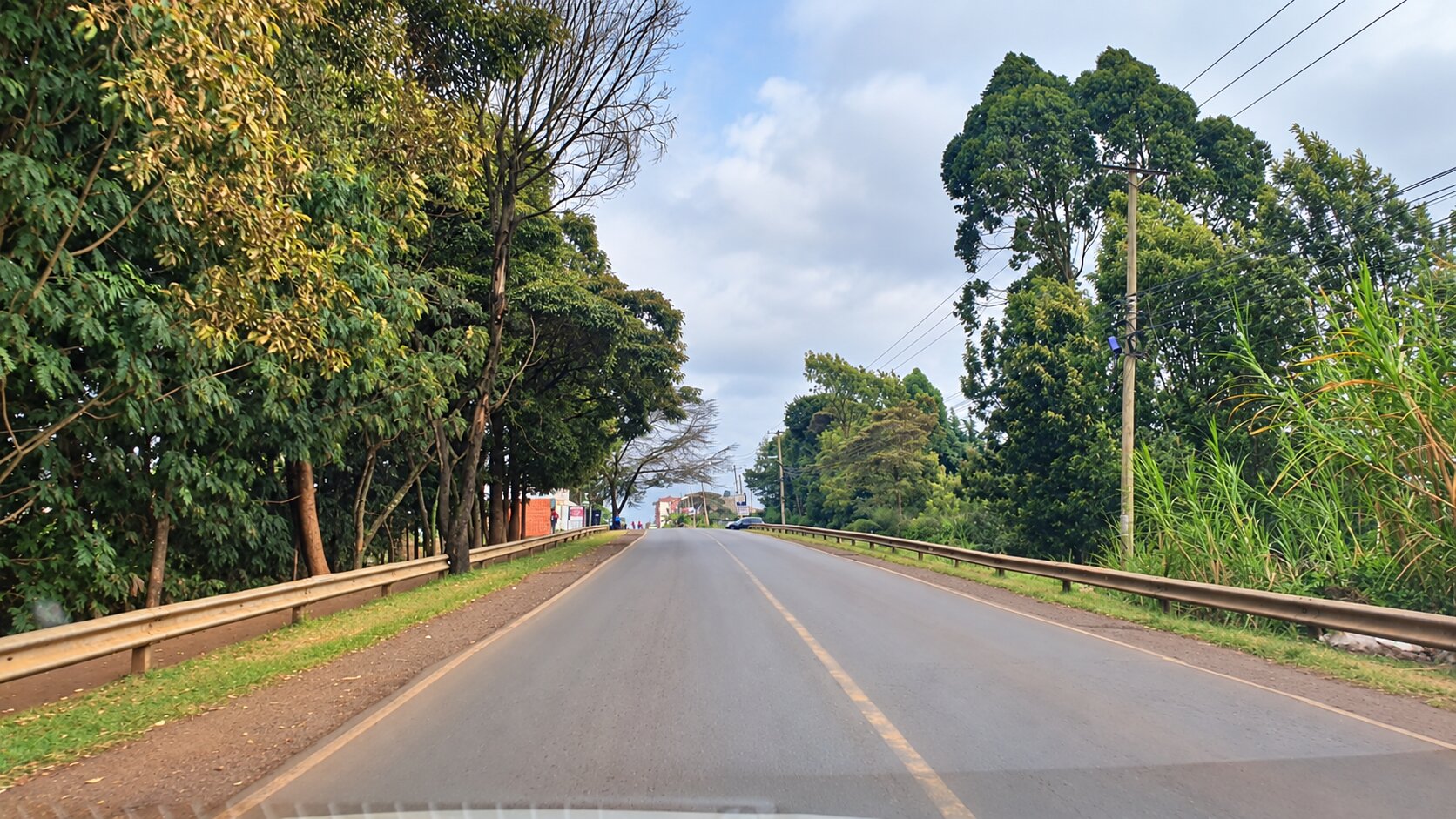 Thogoto plot photograph 7